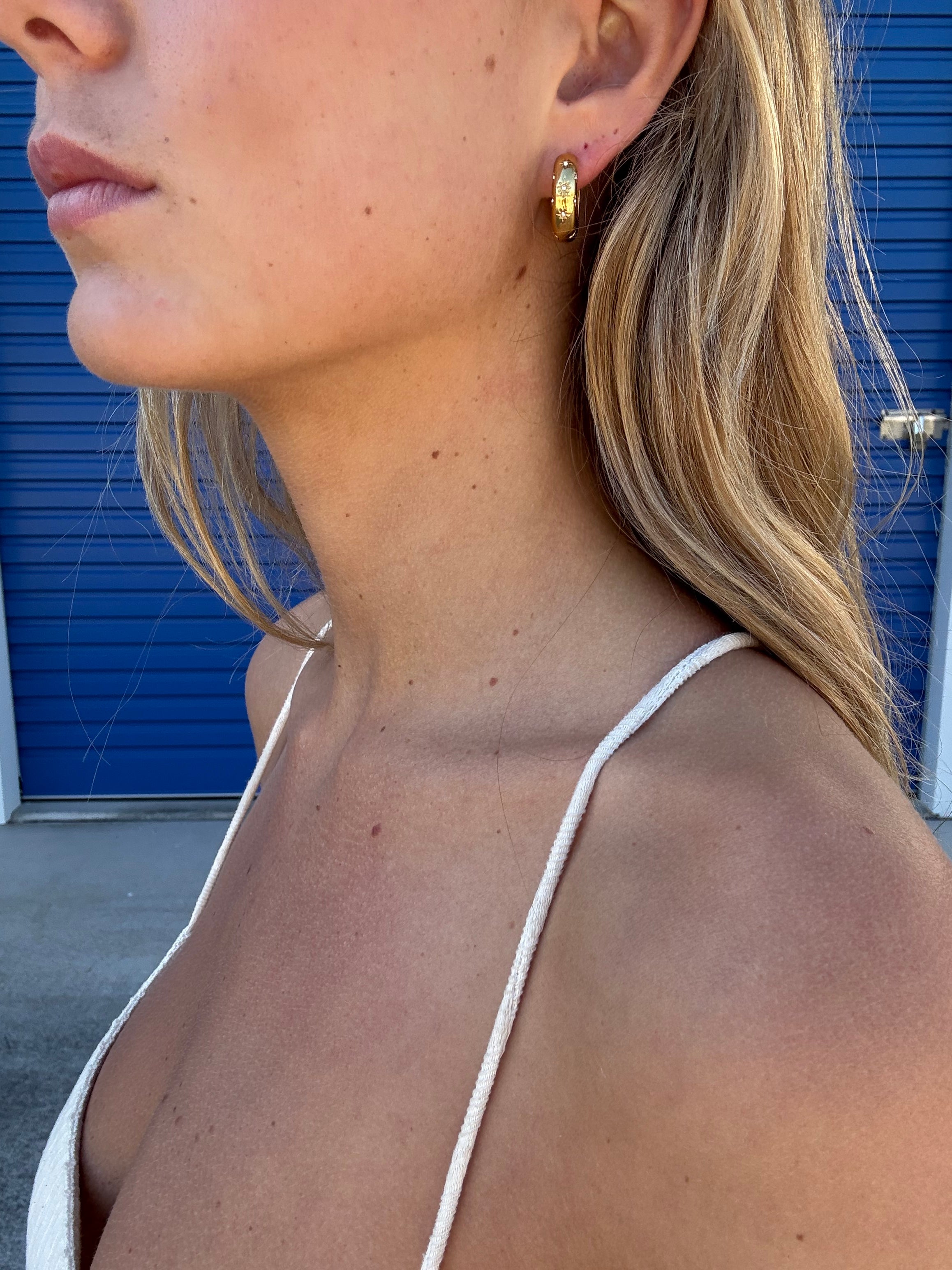 Aster Hoops