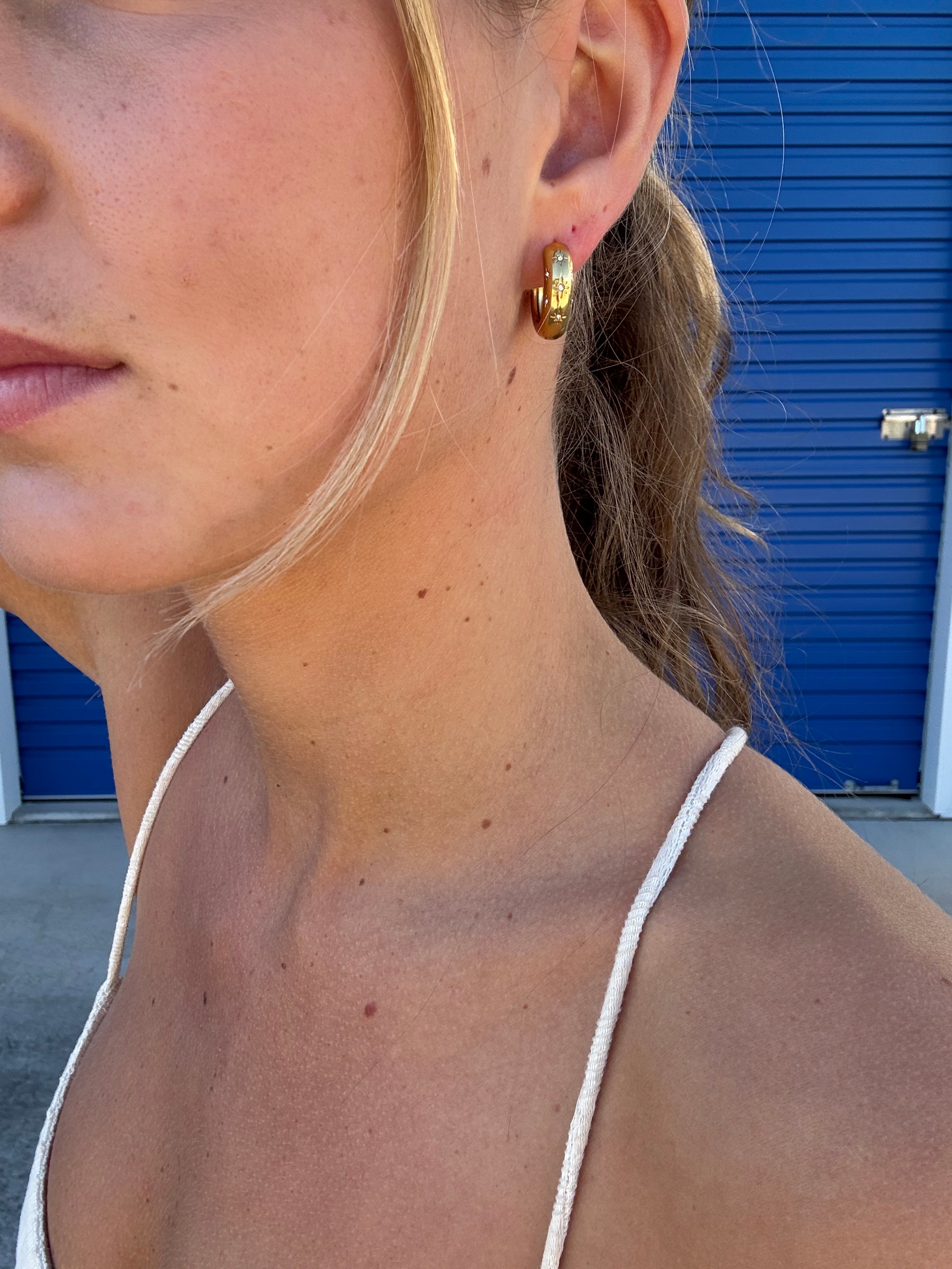 Aster Hoops