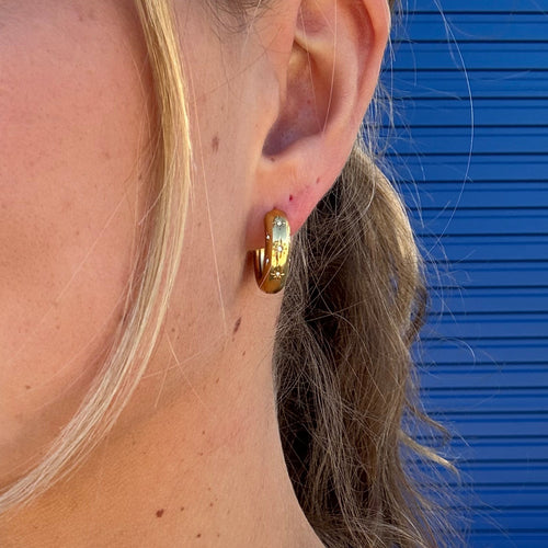 Aster Hoops