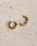 Aster Hoops